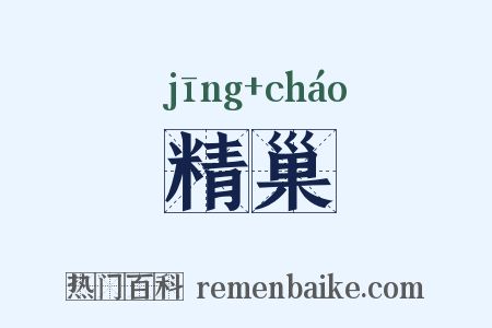 精巢是什么意思的图片